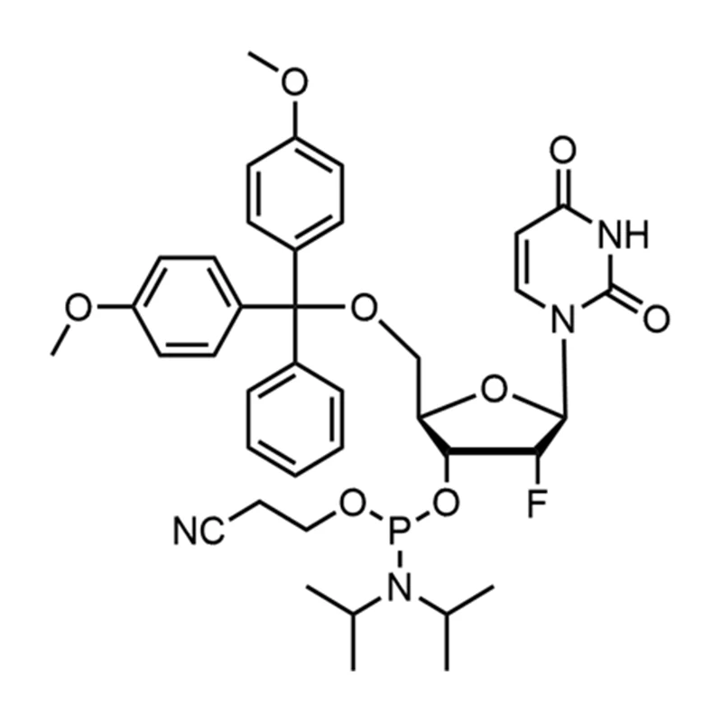 2'-এফ-ডিইউ ফসফরামিডাইট