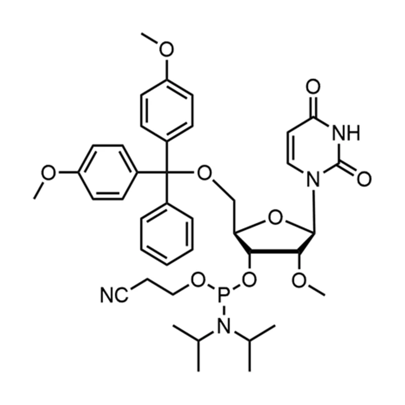 2'-ওমে-ইউ ফসফরামিডাইট